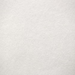 10 BUVARDS 16X21CM COLORIS BLANC